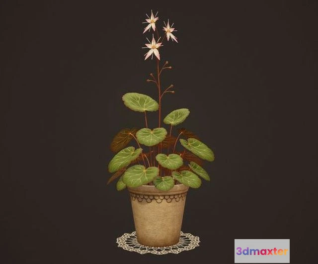 1523066 - PBR Game 3D Models - House Plant 3D Max