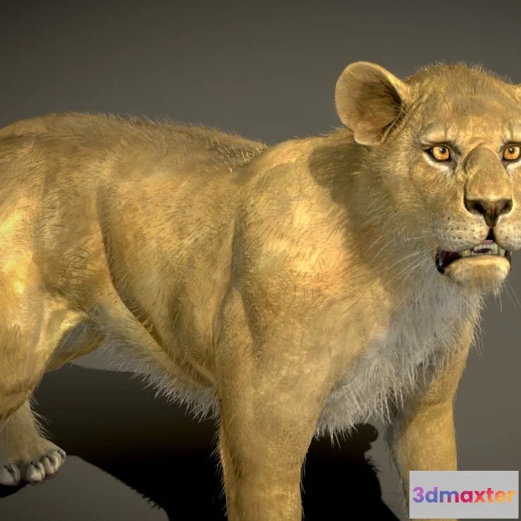 1523214 - PBR Game 3D Models - Lion 3D Max