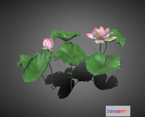 1523236 - PBR Game 3D Models - Lotus 3D Max