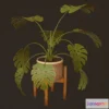 1523384 - PBR Game 3D Models - Monstera Plant 3D Max