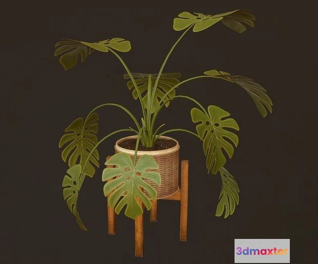 1523384 - PBR Game 3D Models - Monstera Plant 3D Max