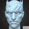 1523432 - PBR Game 3D Models - Night King 3D Printable Portrait Sculpture 3D Max