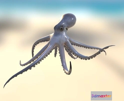 1523474 - PBR Game 3D Models - Octopus 3D Max