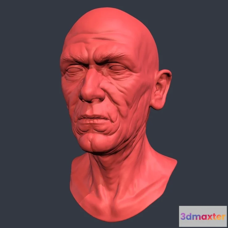 1523494 - PBR Game 3D Models - Old Man Head Sculpt 2 3D Max