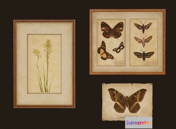 1523502 - PBR Game 3D Models - Old Picture Frames 3D Max