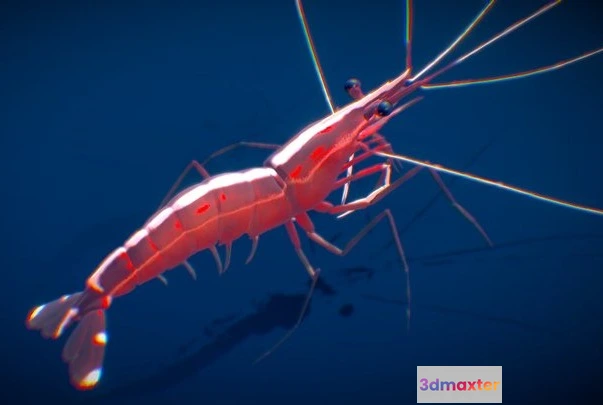 1523534 - PBR Game 3D Models - Pacific Cleaner Shrimp 3D Max