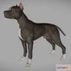 1523588 - PBR Game 3D Models - Pitbull 3D Max