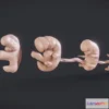 1523780 - PBR Game 3D Models - Baby Stages (Fetal Development) 3D Max