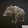 1523822 - PBR Game 3D Models - BOAR ANIMATIONS 3D Max