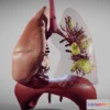 1523890 - PBR Game 3D Models - Covid 19 Patient’s Lungs Version1 (Animated) 3D Max