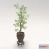 1523906 - PBR Game 3D Models - Decorative tree in a Pot 3D Max