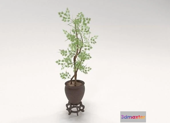 1523906 - PBR Game 3D Models - Decorative tree in a Pot 3D Max