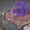 1523946 - PBR Game 3D Models - Eukaryotic Cell Cross Section 3D Max