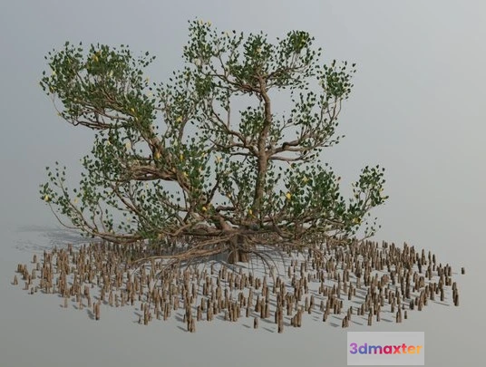 1524186 - PBR Game 3D Models - Mangrove 3D Max