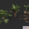 1524242 - PBR Game 3D Models - Modular Needle Palm Tree 3D Max