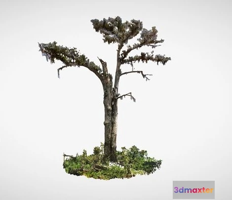 1524244 - PBR Game 3D Models - Monarch Of The Swamp 3D Max