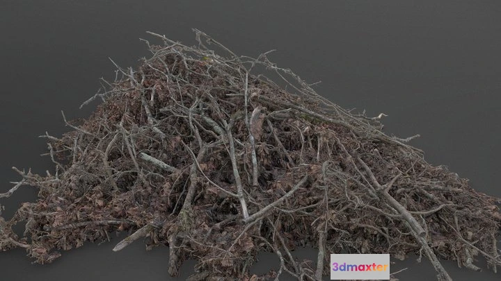 1524274 - PBR Game 3D Models - Old Tree Branches Pile 3D Max