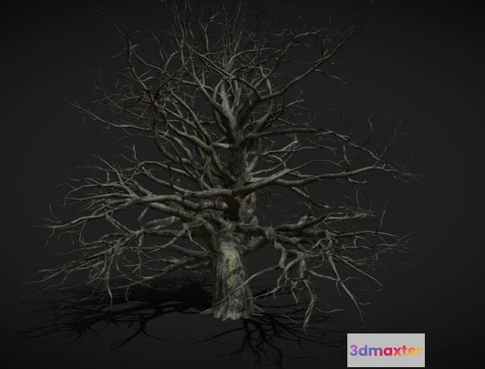 1524286 - PBR Game 3D Models - Old, Mossy Tree 3D Max