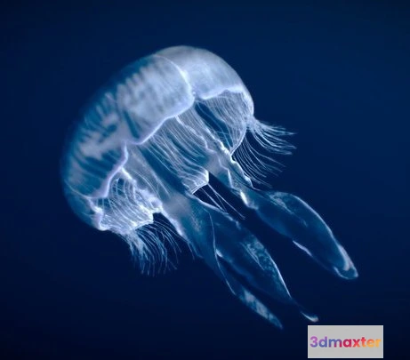 1524720 - PBR Game 3D Models - Moon Jellyfish 3D Max