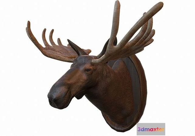 1524722 - PBR Game 3D Models - Moose Head Taxidermy 3D Max