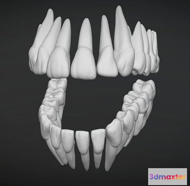 1524852 - PBR Game 3D Models - Teeth Dientes 3D Max