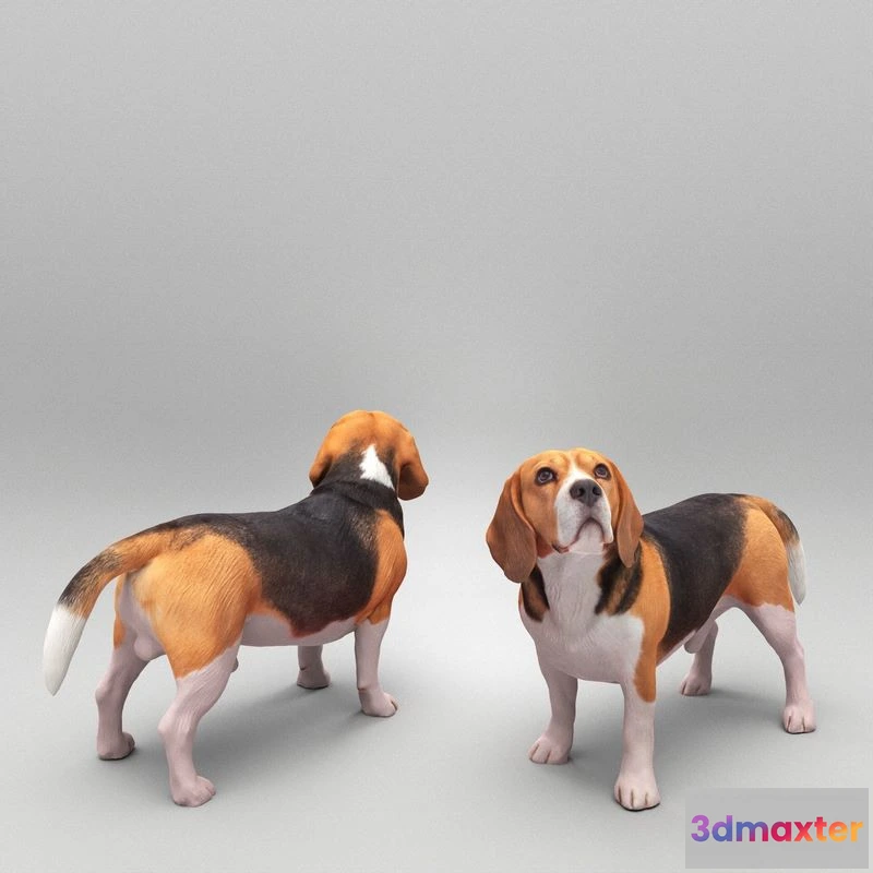 1525032 - PBR Game 3D Models - Walking dog 27 3D Max