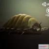 1525128 - PBR Game 3D Models - Woodlouse insect1 3D Max
