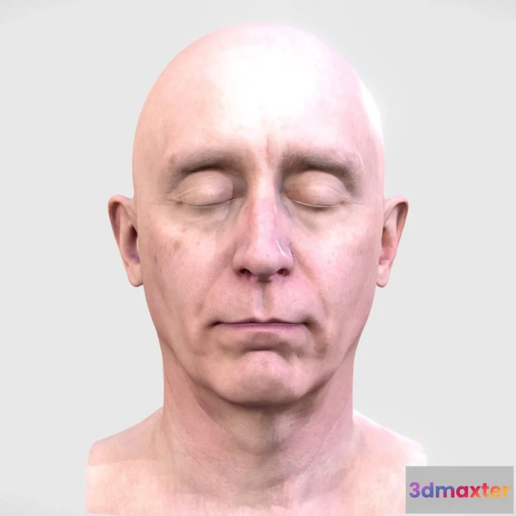 1525262 - PBR Game 3D Models - 3D Scan Head Of A Man 3D Max