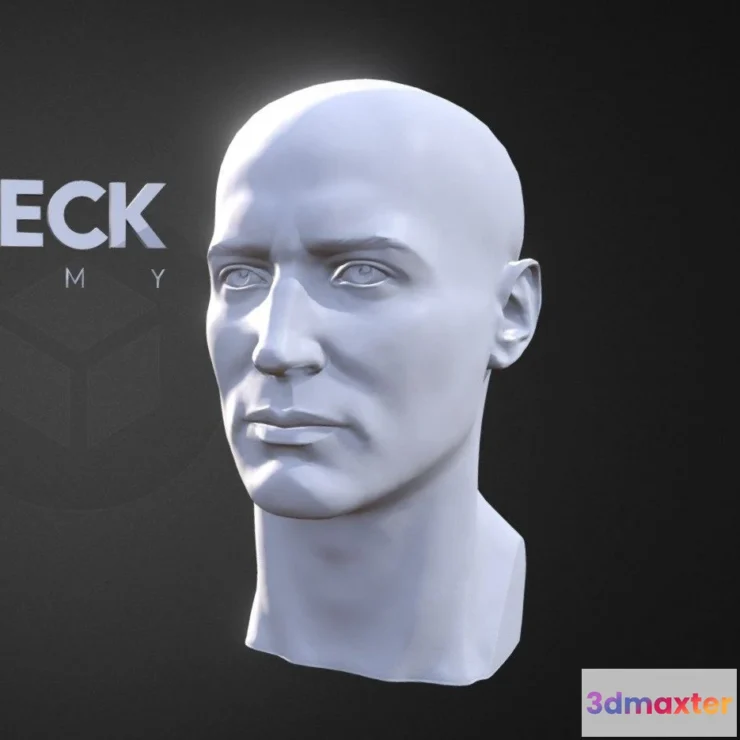 1525290 - PBR Game 3D Models - A4s Head Neck Anatomy 3D Max