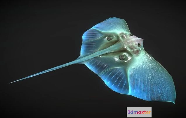 1525348 - PBR Game 3D Models - Alien Fantasy Fish   Jelly Ray   Stingray 3D Max