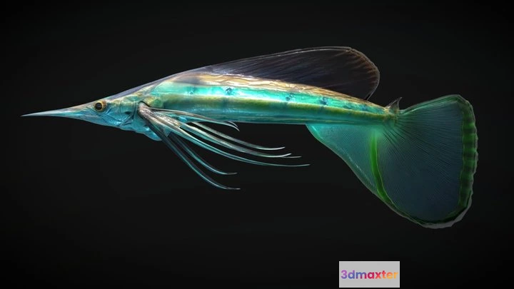1525352 - PBR Game 3D Models - Alien Fantasy Fish   Star Darter 3D Max