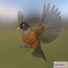 1525384 - PBR Game 3D Models - American Robin - Blender 3D Max