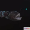 1525392 - PBR Game 3D Models - Angler Fish monkfish 3D Max