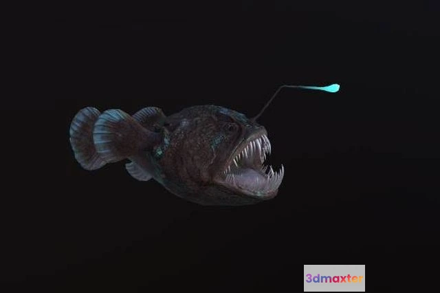 1525392 - PBR Game 3D Models - Angler Fish monkfish 3D Max
