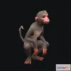 1525394 - PBR Game 3D Models - Aniamted monkey 3D Max