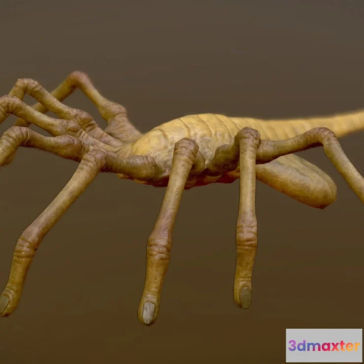 1525414 - PBR Game 3D Models - Animated Facehugger 3D Max