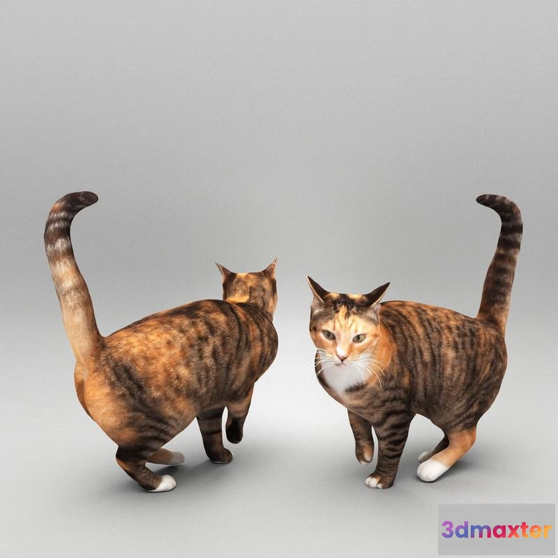 1525674 - PBR Game 3D Models - Cat 25 3D Max