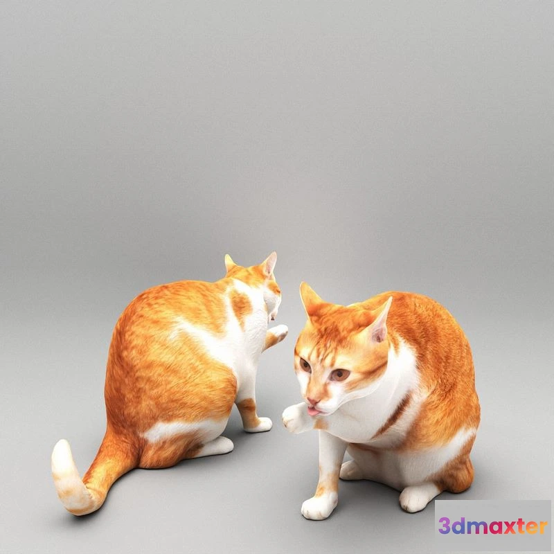 1525676 - PBR Game 3D Models - Cat licking paw 45 3D Max