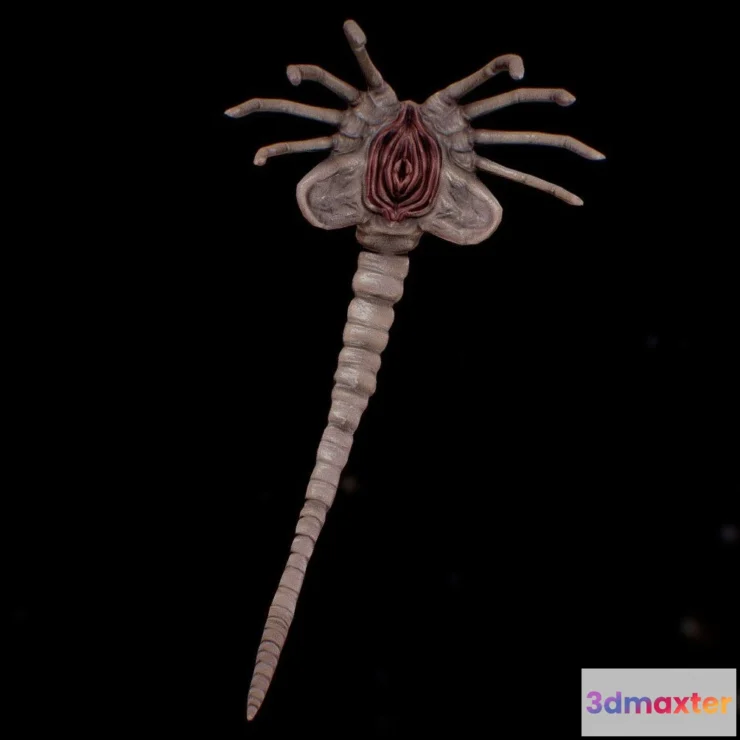 1525870 - PBR Game 3D Models - Face Hugger 3D Max