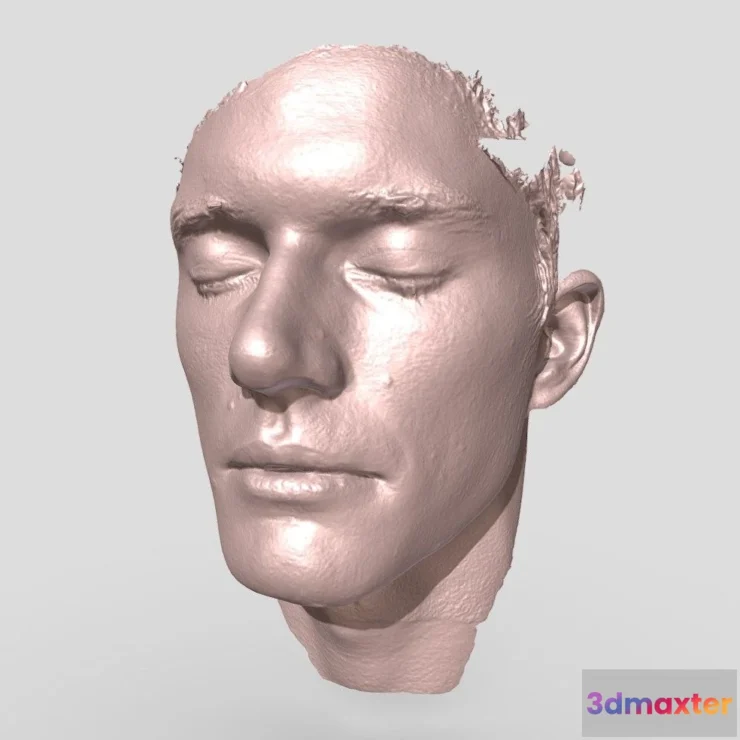 1525872 - PBR Game 3D Models - Face 3D Max