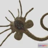 1525874 - PBR Game 3D Models - Facehugger Alien 3D Max