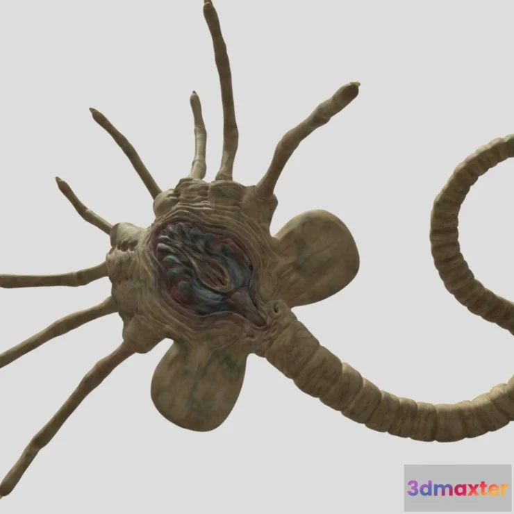 1525874 - PBR Game 3D Models - Facehugger Alien 3D Max