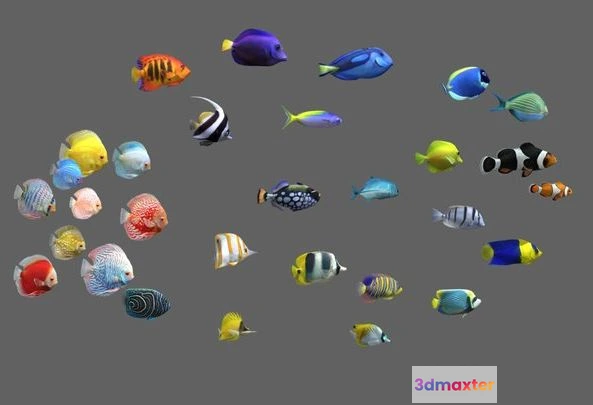 1525946 - PBR Game 3D Models - Fish Pack 30   Coral Bay 3D Max