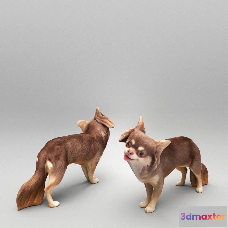 1525992 - PBR Game 3D Models - Funny dog 29 3D Max