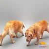 1526056 - PBR Game 3D Models - Golden retriever dog 33 3D Max
