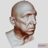 1526084 - PBR Game 3D Models - Head Scan 3D Max