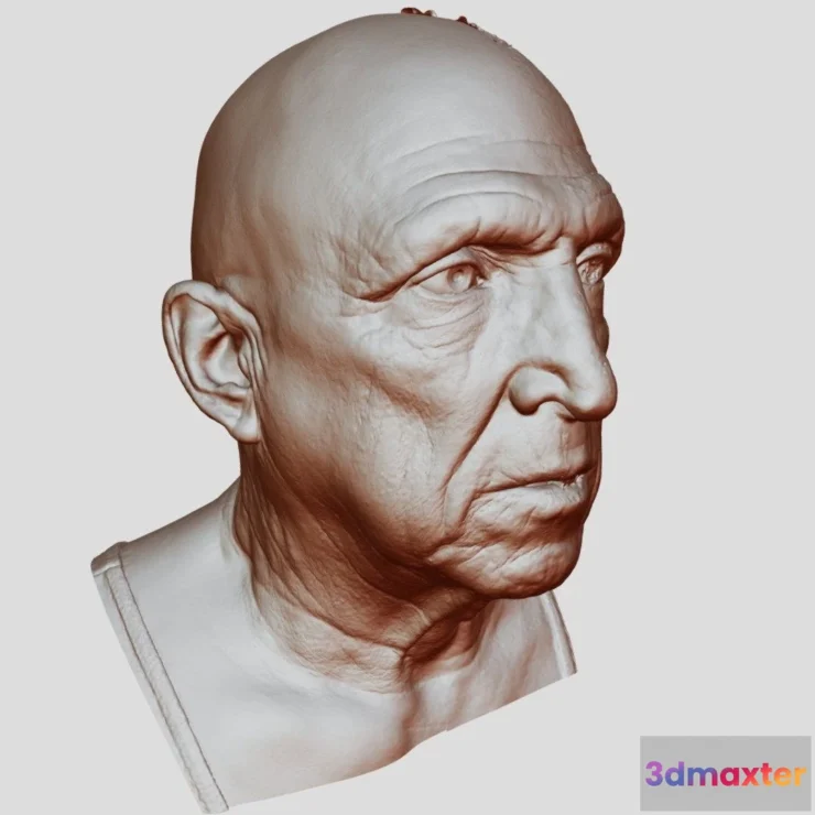 1526084 - PBR Game 3D Models - Head Scan 3D Max