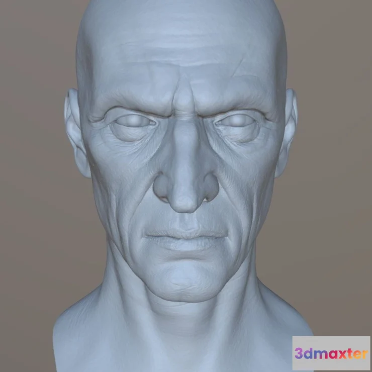 1526092 - PBR Game 3D Models - High Detailed Old Guy Face Uv Low High Poly 3D Max