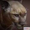 1526262 - PBR Game 3D Models - Mountain Lion 3D Max