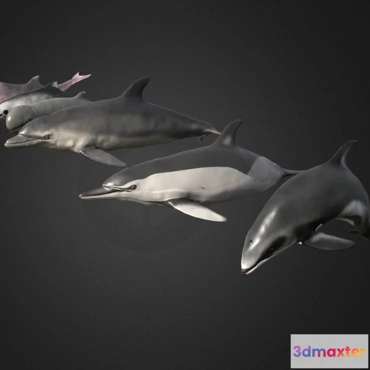 1526516 - PBR Game 3D Models - Pack Of Dolphins 3D Max